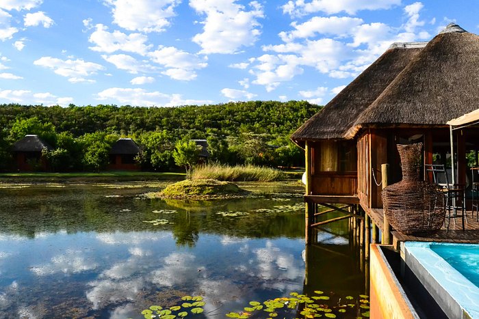 Discover the tranquil bush setting at Intundla Game Lodge